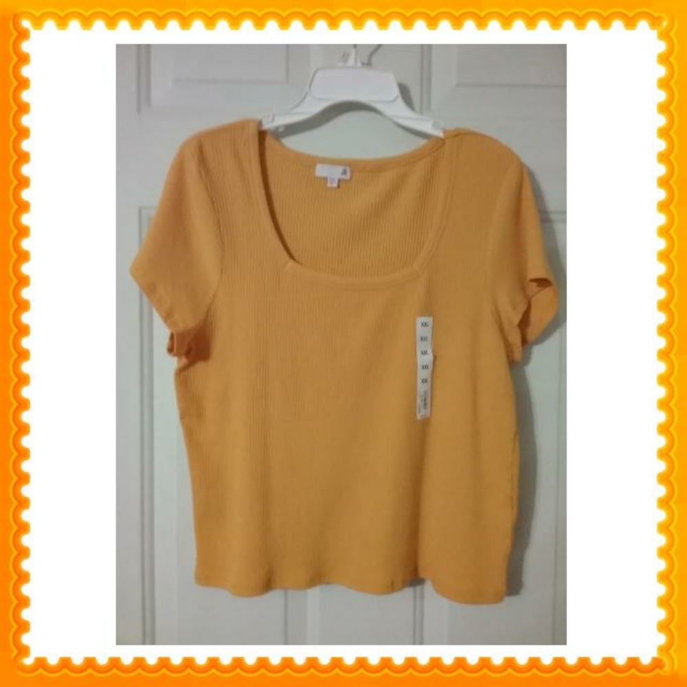 Rib Vertigo Lines Top